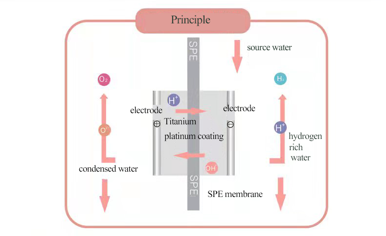 MT-EAW02 Electrolysis alkaline water machine